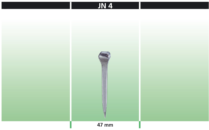 Gamma JN CILENO