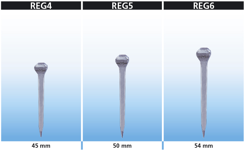 Gamma REG